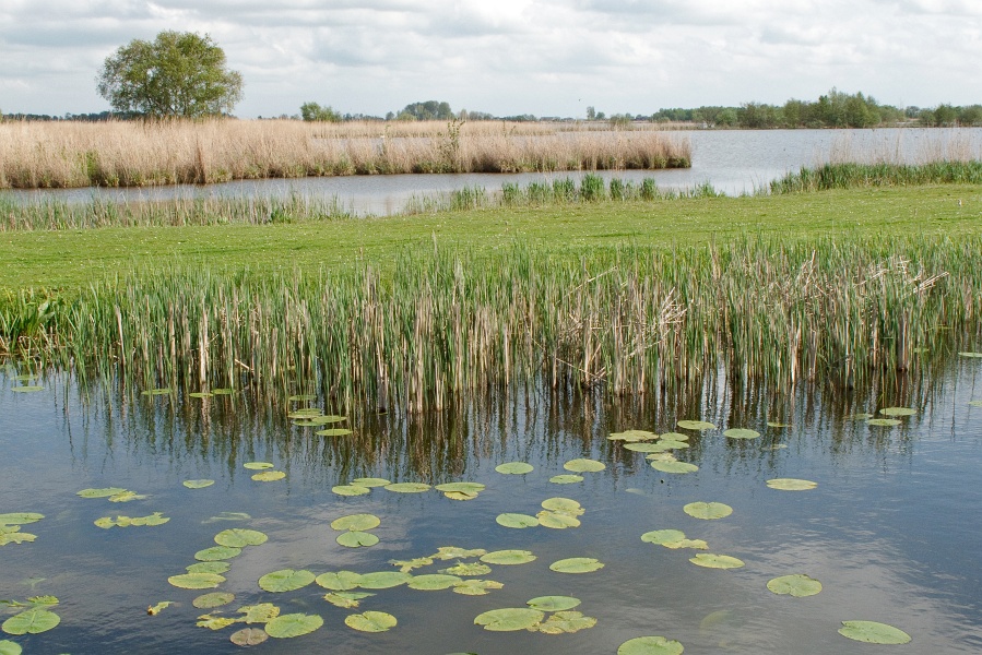 Vakantietijd – met dank aan gastblogger Jeannette Hogenbirk